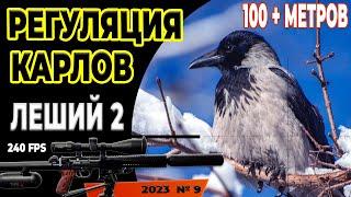 ОТСТРЕЛ ЛЕСНЫХ ВОРОН №9  Crow Hunting 2023. Кроухантинг. Jack Hunter.