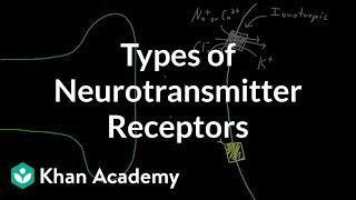 Types of neurotransmitter receptors | Nervous system physiology | NCLEX-RN | Khan Academy