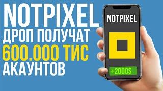 Notpixel известно количество игроков которые получат дроп | Цена будет выше чем предполагалось