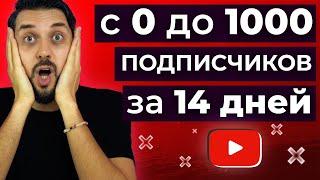 Как набрать первую 1000 подписчиков на YouTube за 14 дней с нуля