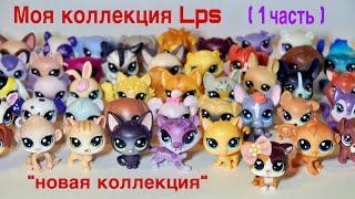 LPS ВСЯ МОЯ КОЛЛЕКЦИЯ 2020 (1 часть) / НОВАЯ КОЛЛЕКЦИЯ LPS