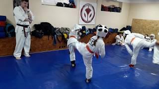 New Year training Kyokushinkai IPPON Dojo Moldova