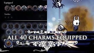 Starting with all 40 charms equipped in Hollow Knight