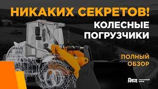 Колесные погрузчики ДСТ-УРАЛ