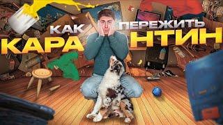 Завели щенка. Как пережить карантин ?