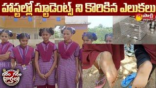 Rats Bite Students In Gurukul Girls Hostel | Kamareddy Dist | Garam Garam Varthalu | Sakshi TV