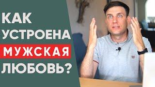 Как устроена мужская любовь? Как мужчина любит и влюбляется?