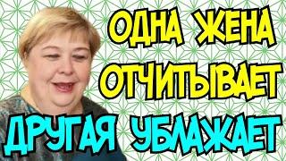 Ольга Уралочка live /Одна жена отчитывает, другая угождает /Обзор Влогов /Уралочка и Сафар /