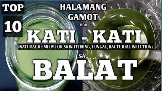 TOP 10 PLANTS FOR SKIN ITCHING, BACTERIAL & FUNGAL INFECTION || HALAMANG GAMOT SA KATI-KATI SA BALAT