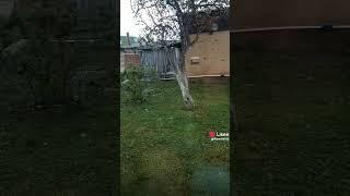 майский дождь
