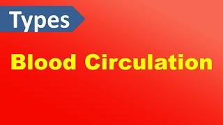 Types of Blood Circulation