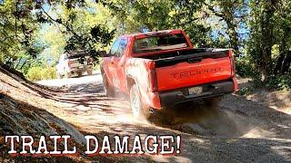 Black Mountain Trail VS Tundra TRD PRO & Ford Ranger Tremor