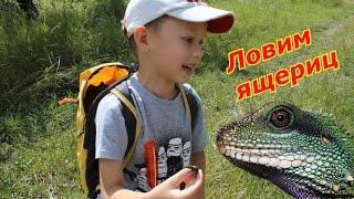 VLOG: Ловим ящериц. Крутая игра - охотник за ящерицами.