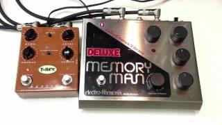 T-Rex Replica vs Electro Harmonix Deluxe Memory Man