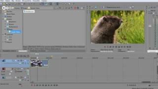 Как замедлить, ускорить,  разделить видео  в Sony Vegas Pro 12 x64bit (x32bit)