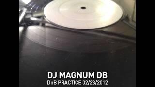 DJ MagnumDB - DnB Practice 14 [White Label Frenzy]