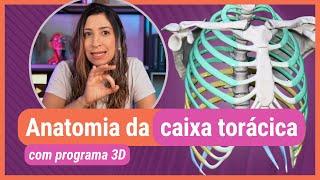 ANATOMIA DA CAIXA TORÁCICA! Com programa 3D