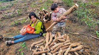 single mothers go to work to earn money to buy rice - lý thi My