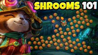 A GUIDE to EVERYTHING you need to know about TEEMO SHROOMS 