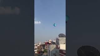 1 tawa  kite flying #trending #viral #shortvideo #flyingbigkites #basant #punjabisong