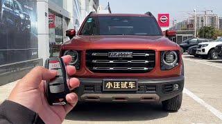 Haval Big Dog (21 1 5T two-wheel drive horse dog version) (POV test drive)【Xiaowang test drive】