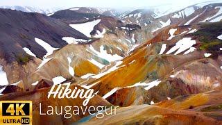 Hiking Laugavegur in Iceland 4K (IS THIS THE BEST HIKE IN THE WORLD?)