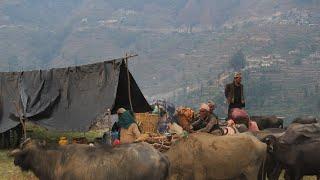 The Simple lifestyle himalayan  people in Happy people of Village nepal.The Village Nepal