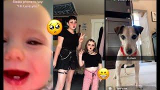 try not to smile challenge (wholesome tiktok edition)