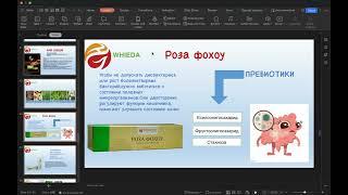 Обзор продукции ассоциации WHIEDA(Часть 3)