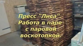 Пресс "Лиса". Работа в паре с паровой воскотопкой. Часть 3. (18.11.2024)