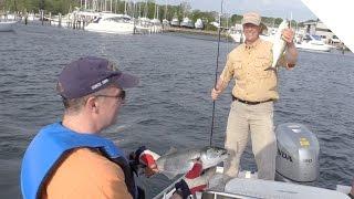 Trolling Tips for Bluefish in Shallow Channels