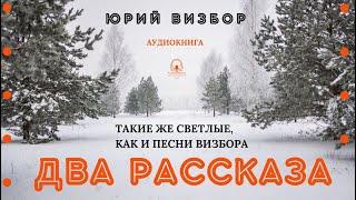 "Два рассказа. Такие же светлые, как и песни Визбора". Аудиокнига. Проза Юрия Визбора.