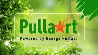 "PullaArt" | "Dreaming A New World"  Powered by George Pullatt | Cochin India.