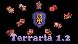 Terraria - Щит Анкха(Анха) и все его комплектующие.