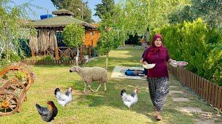 Köy Hayatı Odun Ateşinde Sabah Kahvaltısı / Güzel Köy Evi Yaşamı