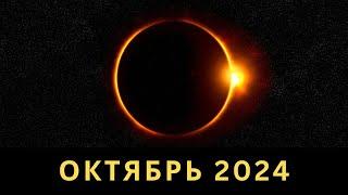 ПОЛНЫЙ ОБЗОР на октябрь 2024 Астрология и Таро от Альфарда Свордс