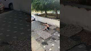 Votiamo i nostri fail pt.20  #catania #parkour #nhex #parkourcatania #fail #parkourfail #shorts