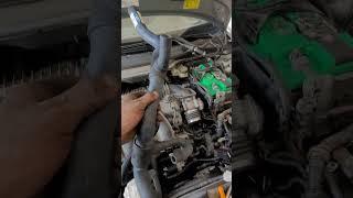 volvo upper radiator hose