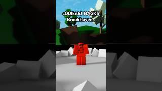 HACKING Brookhaven.. #roblox #brookhaven #hacker #trolling #c00lkidd #funny #shorts