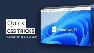 CSS Tricks | Scroll From Top to Bottom using Html & CSS Only