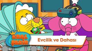 Evcilik ve Dahası  - Kral Şakir