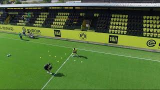 Borussia Dortmund Training Academy | Behind-the-scenes | DLC by box-to-box