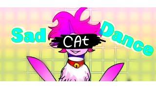 Sad cat dance (animation meme pony)