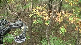 Deer Hunt with Barnett Ghost 420 crossbow - 420 FPS!!