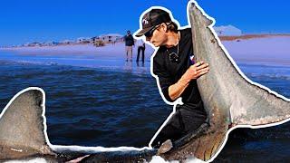 Beach Catch Makes National News! (1200 Pounds)