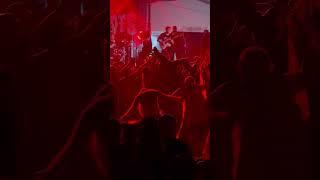 Nutty thrash pit at Muddy Roots 2024. -Belushi Speedball #muddyroots #thrashmetal