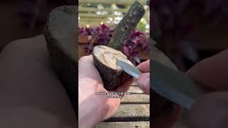 Grain so good she honor roll  #carving #woodcarving #satisfying #asmr #woodworking #nature