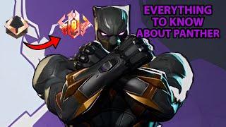 Ultimate Black Panther Guide (Everything you need to know)