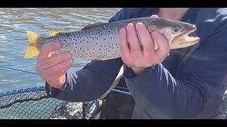 How to Catch the MOST Fish at Strawberry Reservoir: BEST White Jig Ever! (Utah Fishing Tips)