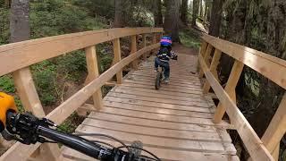 3 year old MTBing at Timberline on his early rider seeker 14